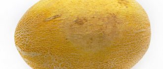 Melon smells like acetone