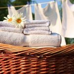 Good chemical and folk remedies for washing from available ingredients
