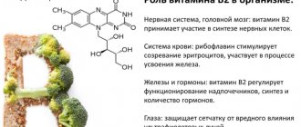 Каких витаминов не хватает организму, если появляются заеды на губах