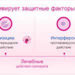 Therapeutic effect of Imudon