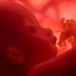 Малыш в утробе