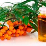 sea ​​buckthorn oil for stomatitis