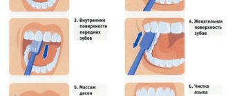 Методы чистки зубов
