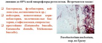 microflora in the mouth
