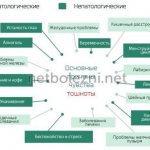 Main causes of nausea