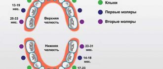 The order of teething in babies