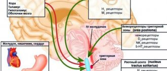 Рвотный центр