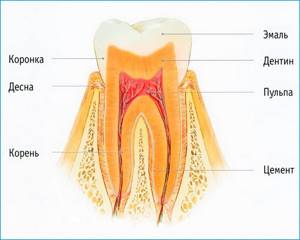 В эмали зуба нет нервных окончаний, поэтому при начальном кариесе болевые ощущения практически не выражены.