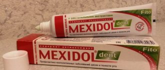 зубная паста Mexidol Dent Fito